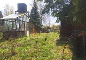 Петрино Петрино