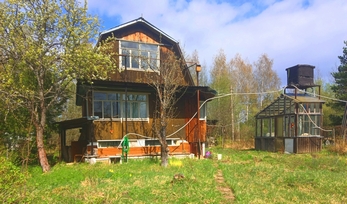 Петрино