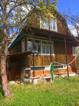 Петрино