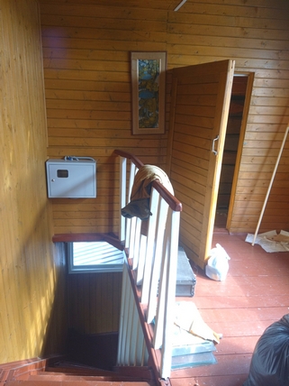 Петрино